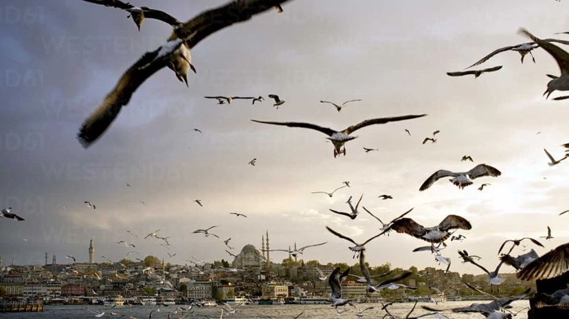 6 Days Deluxe Istanbul Tour With Raffles Hotel 3