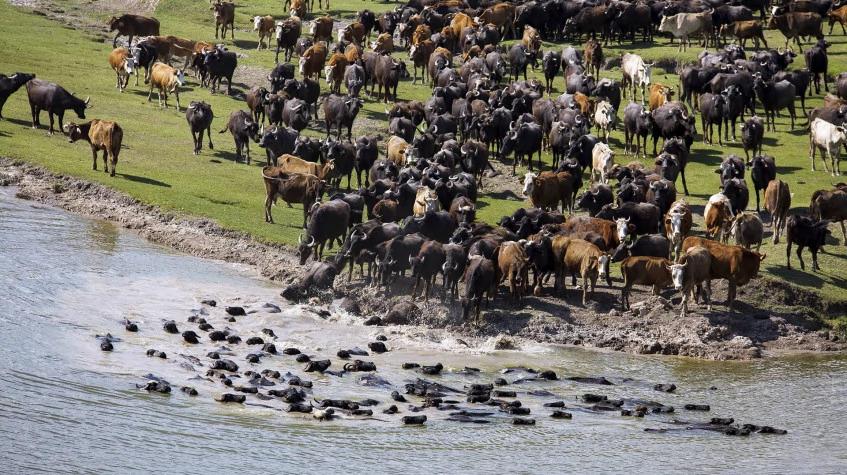 8 Days Ecotourism Turkey Tour 8 Days Ecotourism Turkey Tour