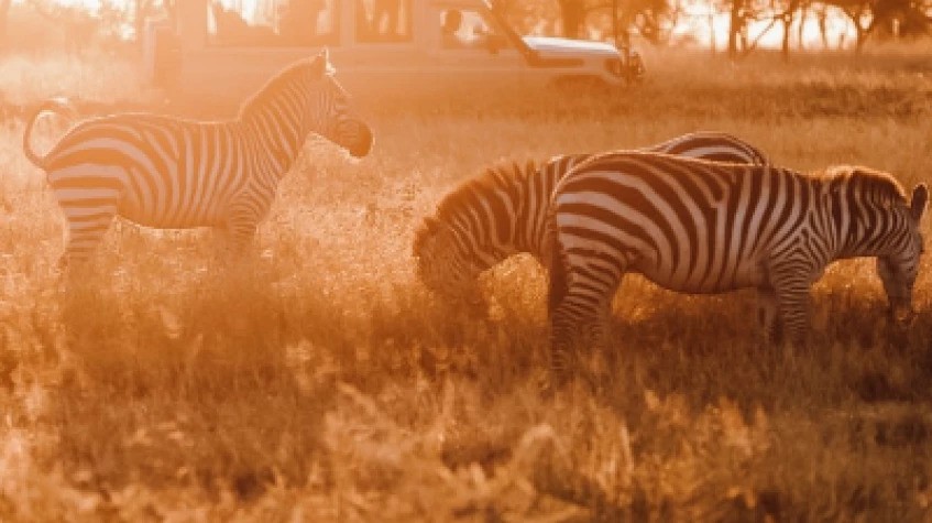 3 Days Classic Serengeti & Ngorongoro Safari 1