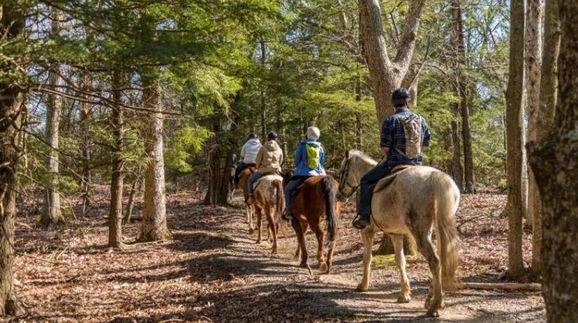 7 Days Horse Riding Package Istanbul Tour 3