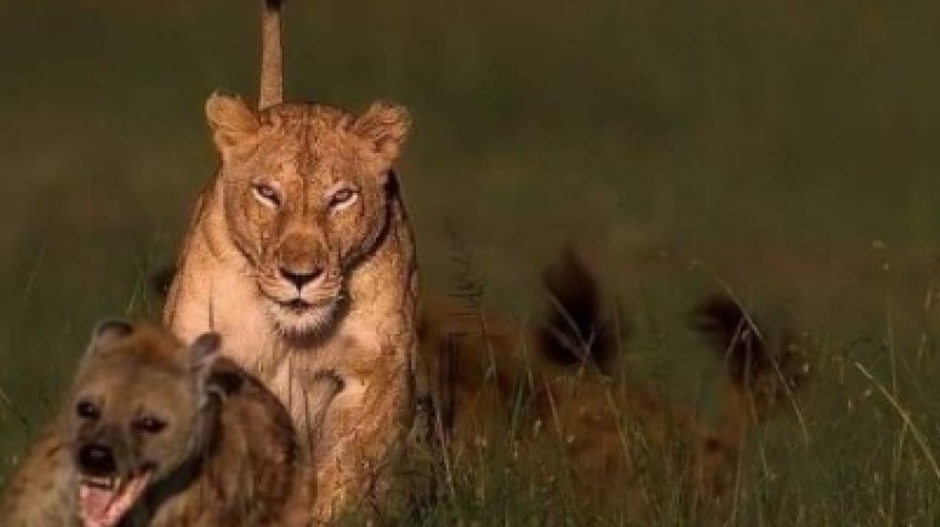 3 Days Maasai Mara Budget 1