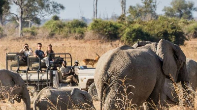 10 Days the Original Remote Luangwa Safari 2