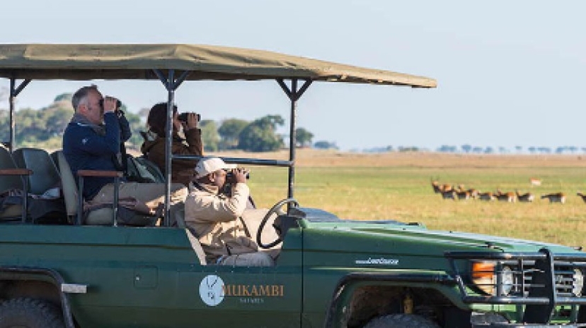 9 Days Safari in Zambia’s Animal Kingdom 4