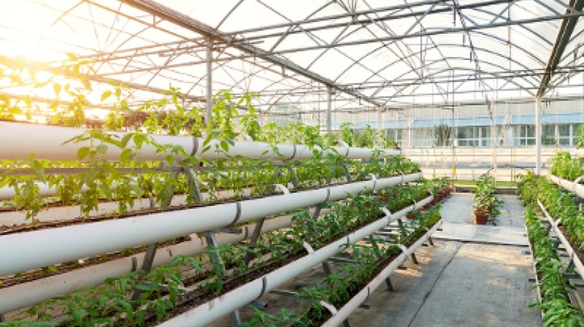 4 Days Antalya Planting Seedlings/Harvest Tour 3