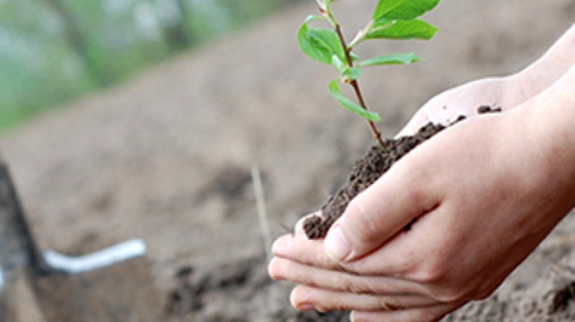 4 Days Antalya Planting Seedlings/Harvest Tour 4