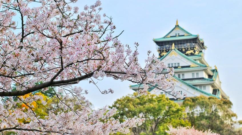 7 Days Disneyland and Universal Studios Japan Package Tour 7 Days Disneyland and Universal Studios Japan Package Tour