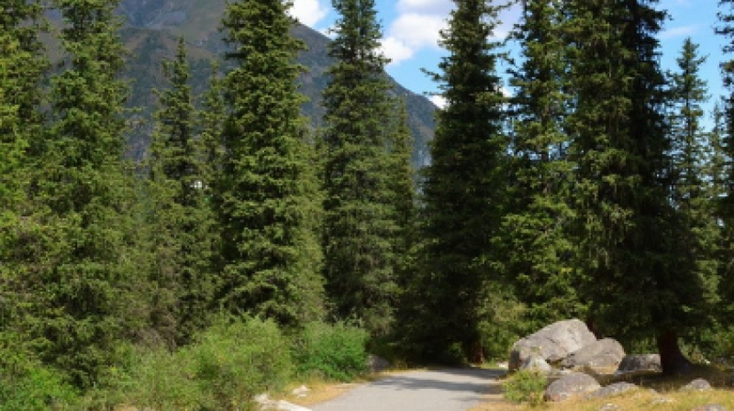Uae National Day Holiday Package to Kyrgyzstan, 3 Days 2 Night 2