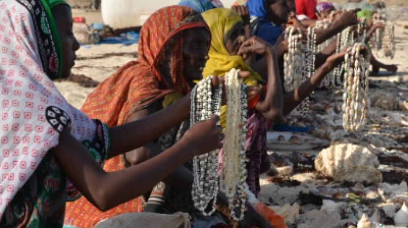 Taste of Eritrea: a 5 Days Experience 3