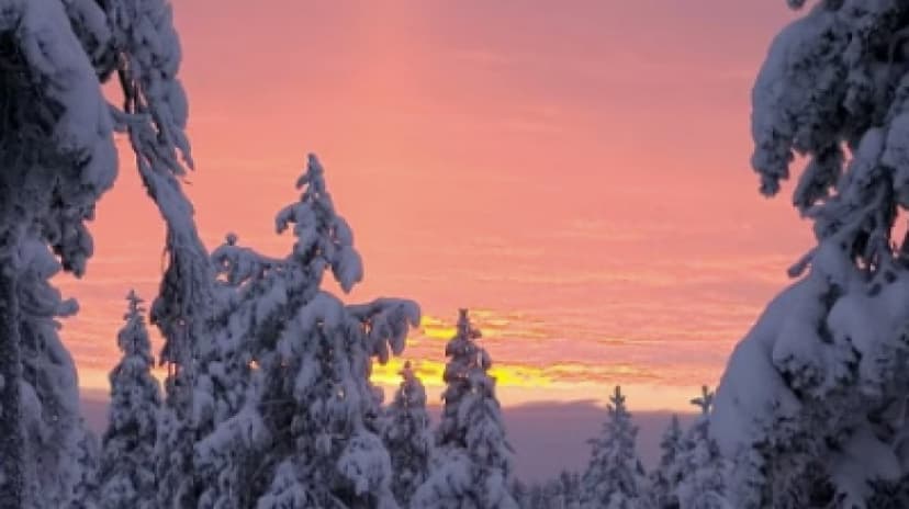 Highlights of Rovaniemi Day Tour 4