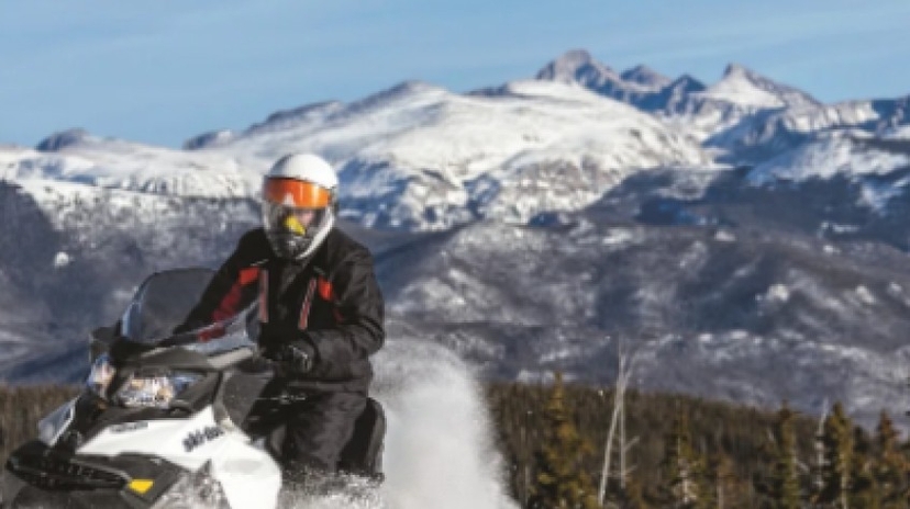 Snowmobile and Animals Day Tour 2