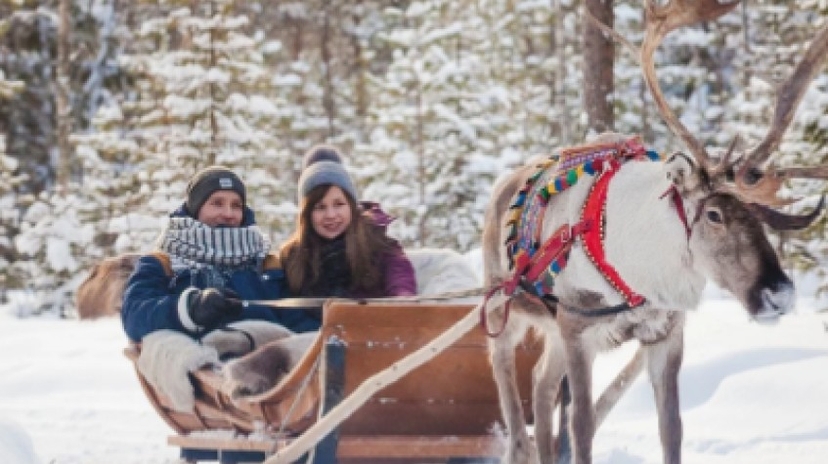 Snowmobile and Animals Day Tour 3