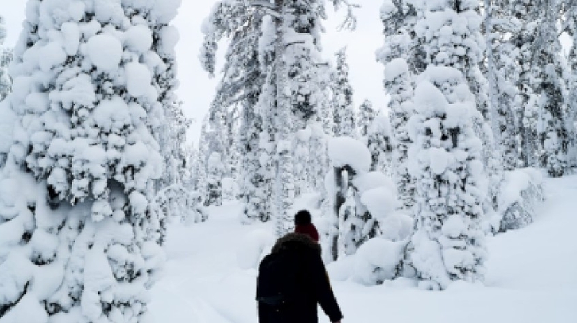 Arctic Snowshoeing Day 3