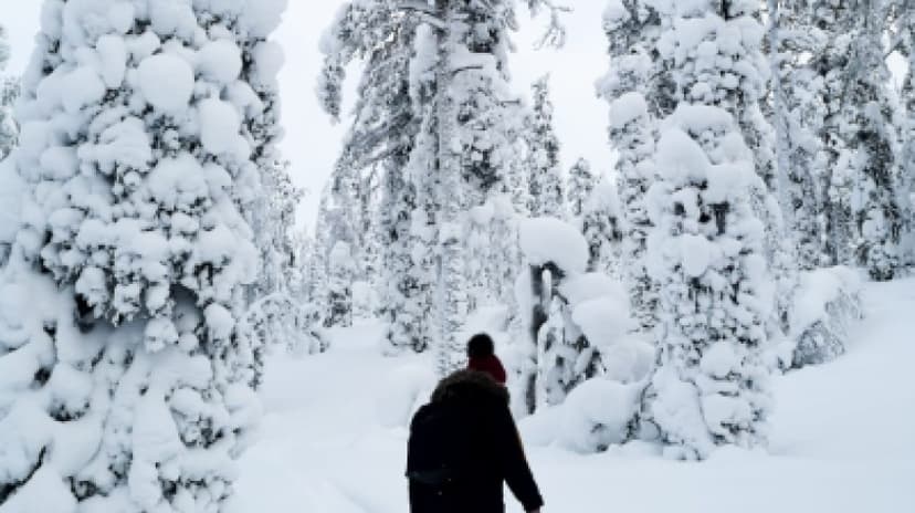 Arctic Snowshoeing Day 3