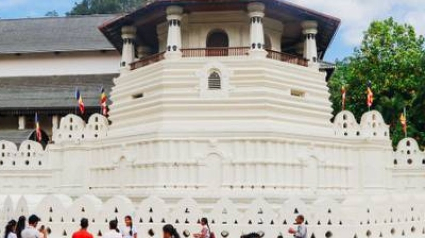 3 Days Hill Country Tour of Sri Lanka 4
