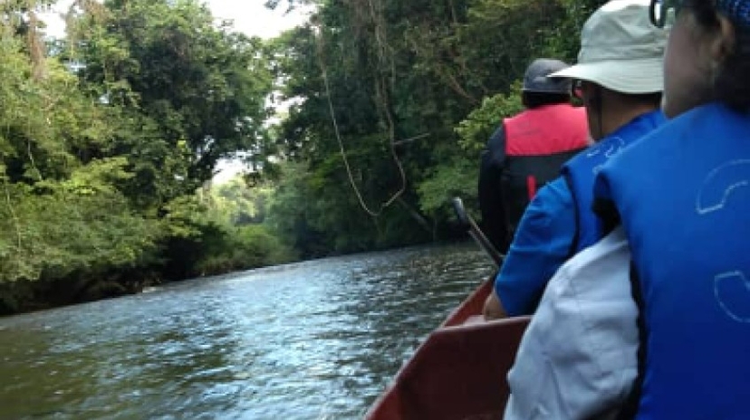 P38 3D 2N Tour Kuala Lumpur - Rainforest Taman Negara - Cameron Highlands - Penang Island drop off 4