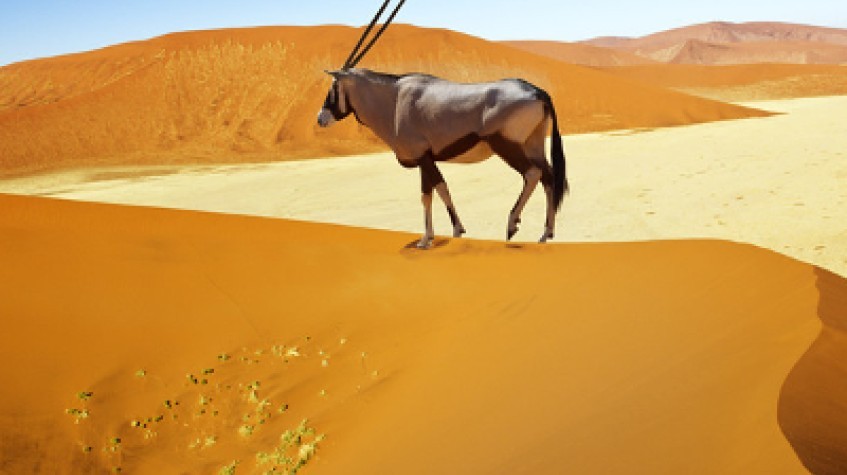 8 Days Sossuvlei, Swakopmund & Etosha Np (Lodging) 1