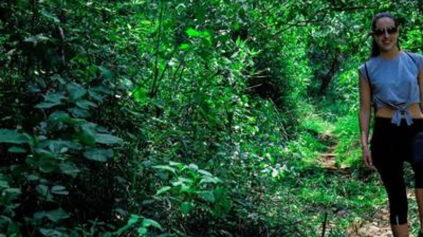 Private Overnight Tour to the Nature Paradise of Belihuloya Private Overnight Tour to the Nature Paradise of Belihuloya