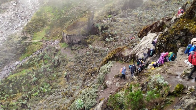 6 Days Umbwe Route Kilimanjaro 2