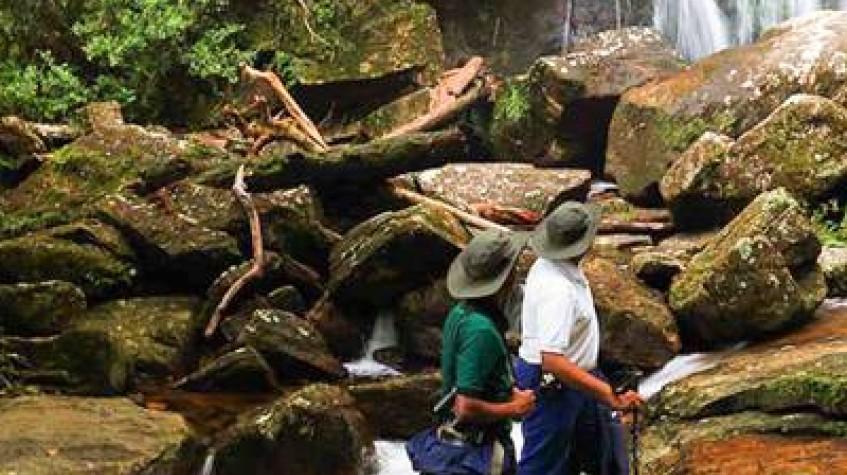 Overnight Rain Forest Adventure in Sinharaja With Return Transfers Overnight Rain Forest Adventure in Sinharaja With Return Transfers