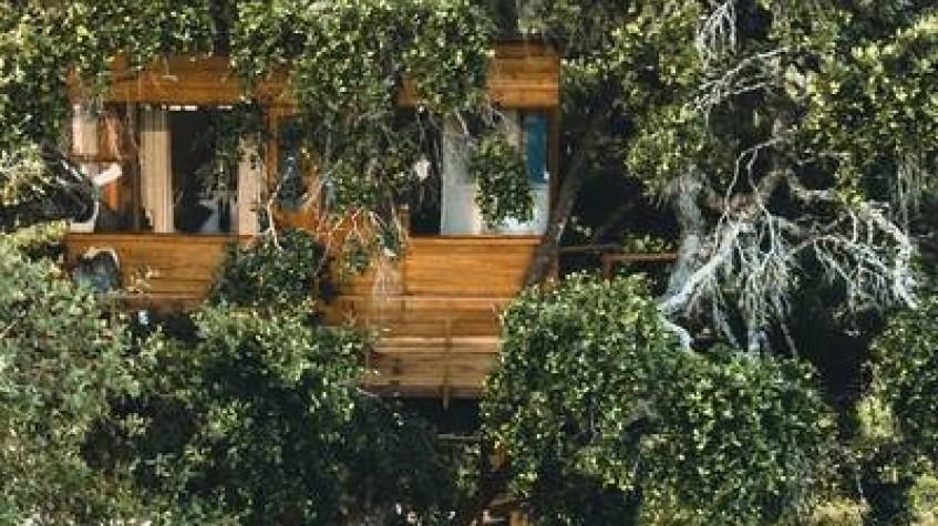Overnight Luxury Glamping in Yala With Return Transfers (From Colombo) Overnight Luxury Glamping in Yala With Return Transfers (From Colombo)