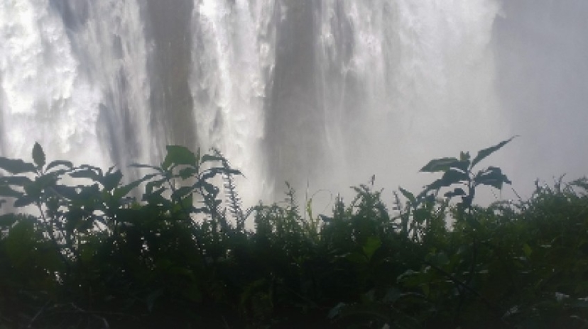 Victoria Falls Hwange and Chobe 2