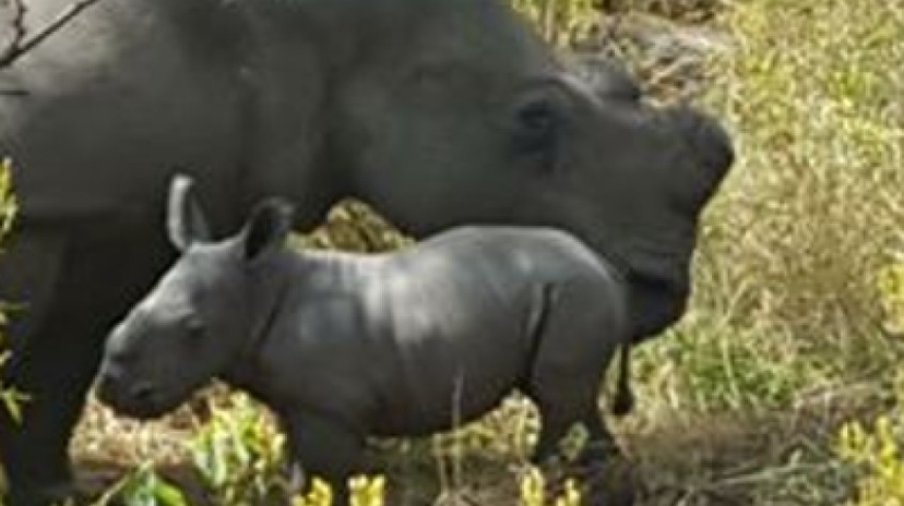 Victoria Falls Hwange and Chobe 4