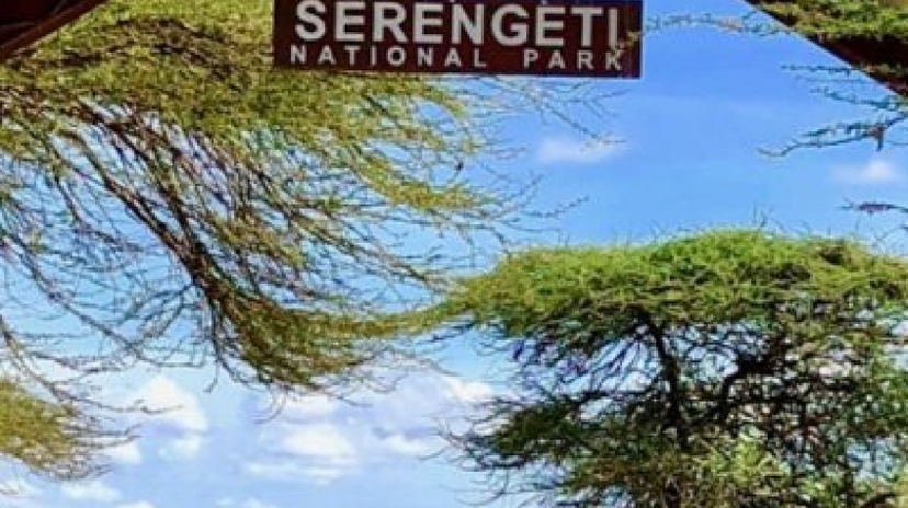 3 Days Safari Serengeti National Park 3