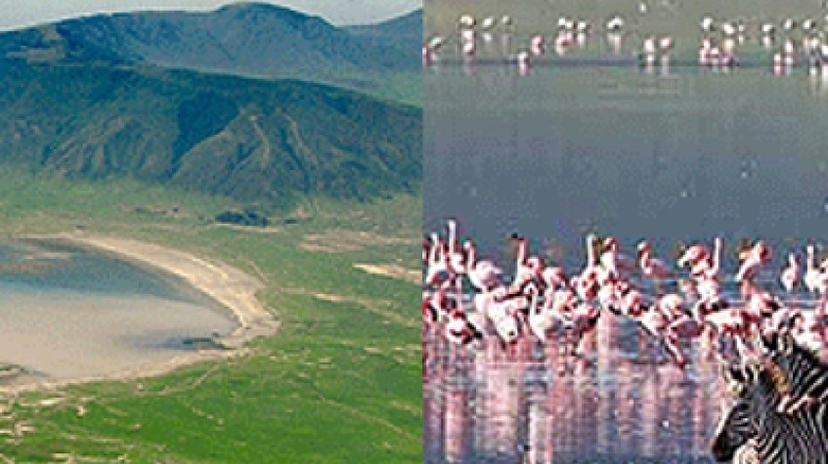 4 Days Safari Lake Manyara, Serengeti National Park and Ngorongoro Crater 3