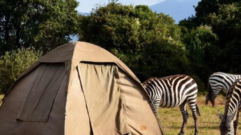 4 Days Safari Lake Manyara, Serengeti National Park and Ngorongoro Crater 4