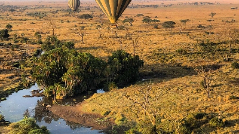5 Days Safari Tarangire National Park, Serengeti National Park and Ngorongoro Crater 4
