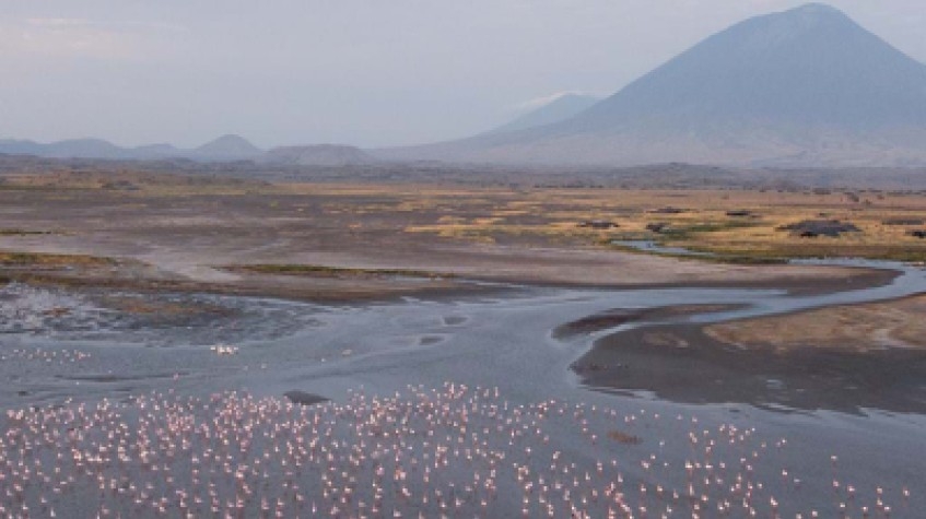 7 Days Safari Tarangire Np, Lake Natron, Serengeti Np, Ngorongoro Crater and Lake Manyara 1
