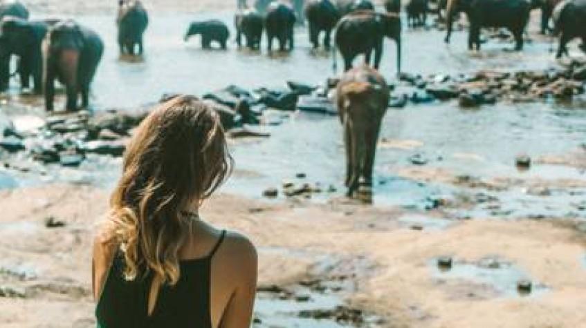 3 Days Glimpse of Sri Lanka Private Tour 3 Days Glimpse of Sri Lanka Private Tour