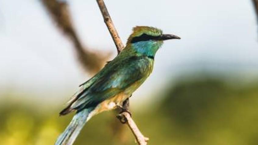 5 Days Wildlife Photography Tour 5 Days Wildlife Photography Tour
