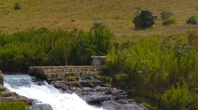5 Days Sri Lanka Central Highlands Tour 2