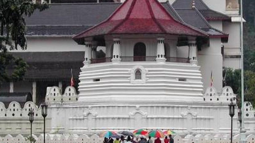 5 Days Sri Lanka Central Highlands Tour 3