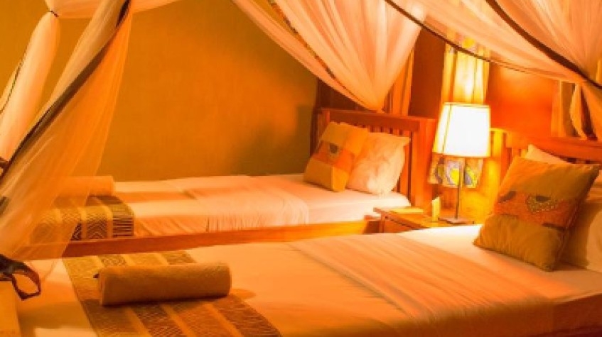 5 Days Gorilla and Chimpanzee Trekking 1