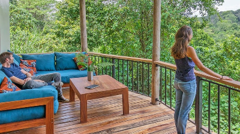 5 Days Gorilla and Chimpanzee Trekking 2