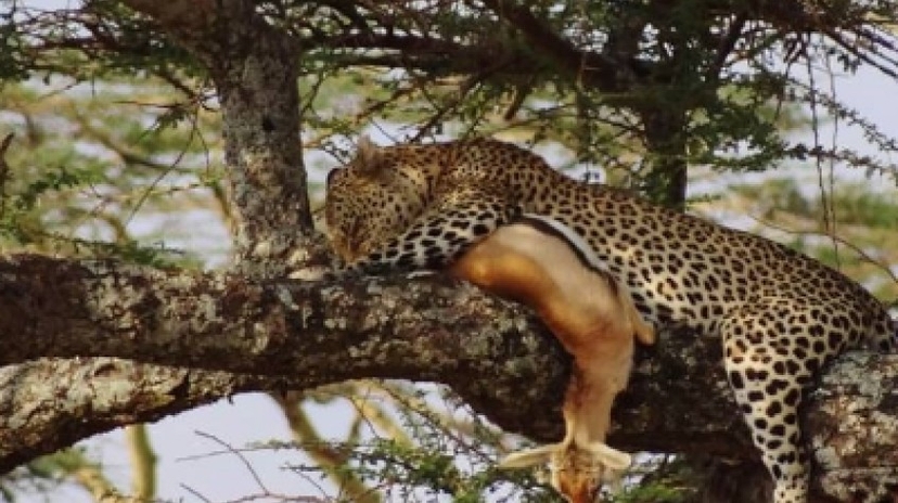 Tanzania Active Family Adventure 4