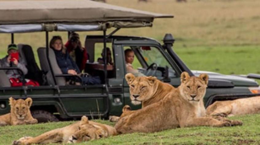 3 Days 2 Nights Maasai Mara Joining Safari Using a Landcruiser Jeep 3 Days 2 Nights Maasai Mara Joining Safari Using a Landcruiser Jeep
