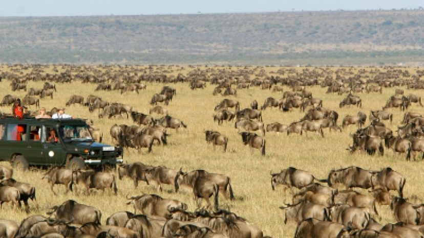 3 Days 2 Nights Maasai Mara Joining Safari Using a Landcruiser Jeep 2