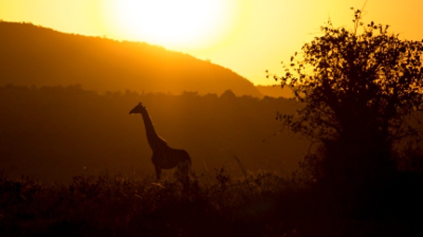 3 Days Maasai Mara Safari 2