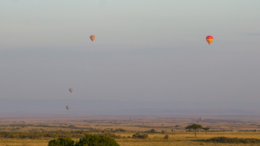4 Days Lake Nakuru & Maasai Mara Safari 4