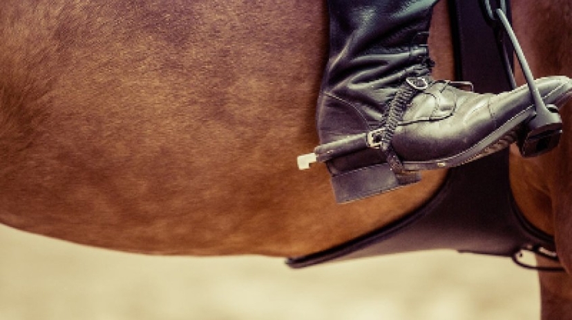 Daily Horse Riding Tour Bodrum 2