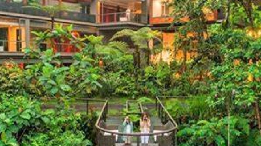 Mashpi Lodge: a Rainforest Hotel in the Clouds