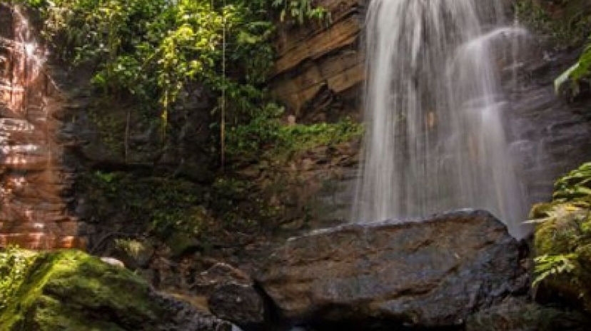 Huasquila: Ecuador Amazon Lodge 4