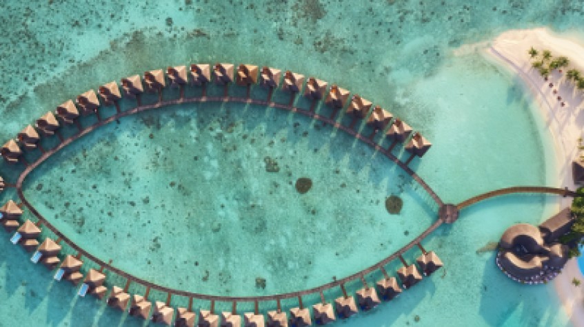 The Vilu Reef 1