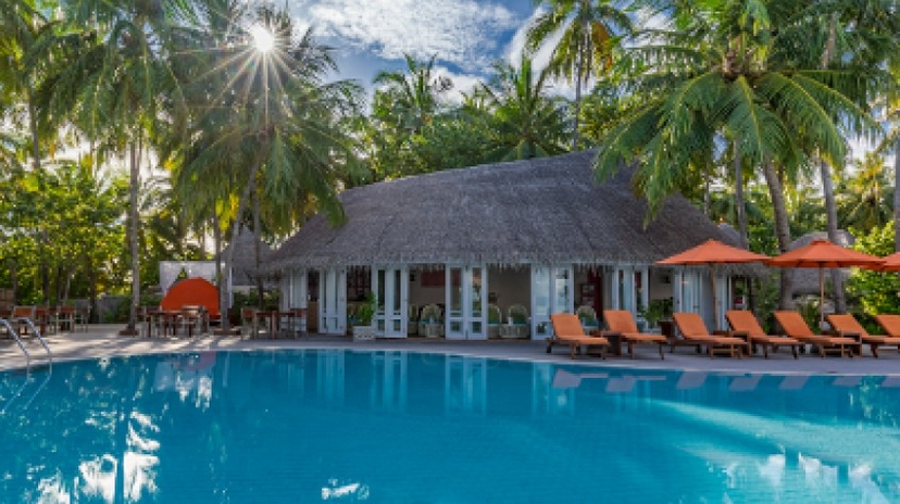 The Vilu Reef 4
