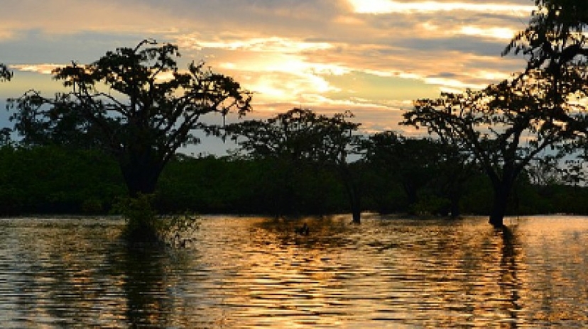 4 Days Amazon Lodge Cuyabeno Wildlife Reserve 3