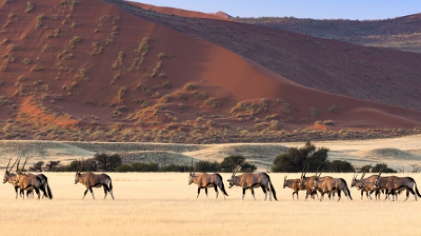 7 Days Sossusvlei, Swakopmund and Etosha National Park 1