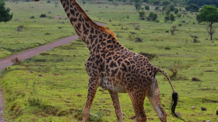 7 Days Sossusvlei, Swakopmund and Etosha National Park 2